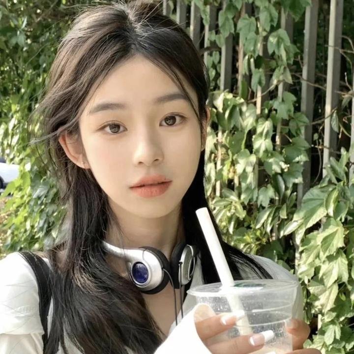 阿布加的最后班机